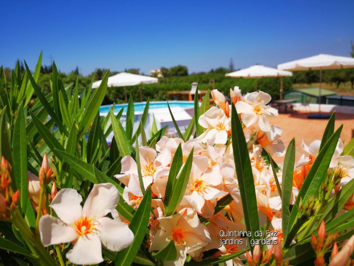 Quintinha Da Foz Guest House Sao Pedro  Zewnętrze zdjęcie