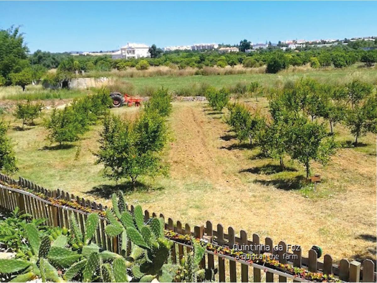 Quintinha Da Foz Guest House Sao Pedro  Zewnętrze zdjęcie