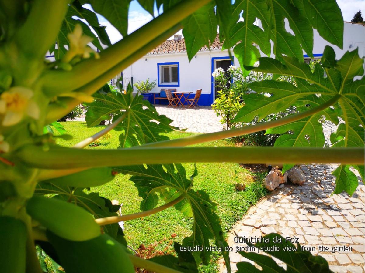 Quintinha Da Foz Guest House Sao Pedro  Zewnętrze zdjęcie