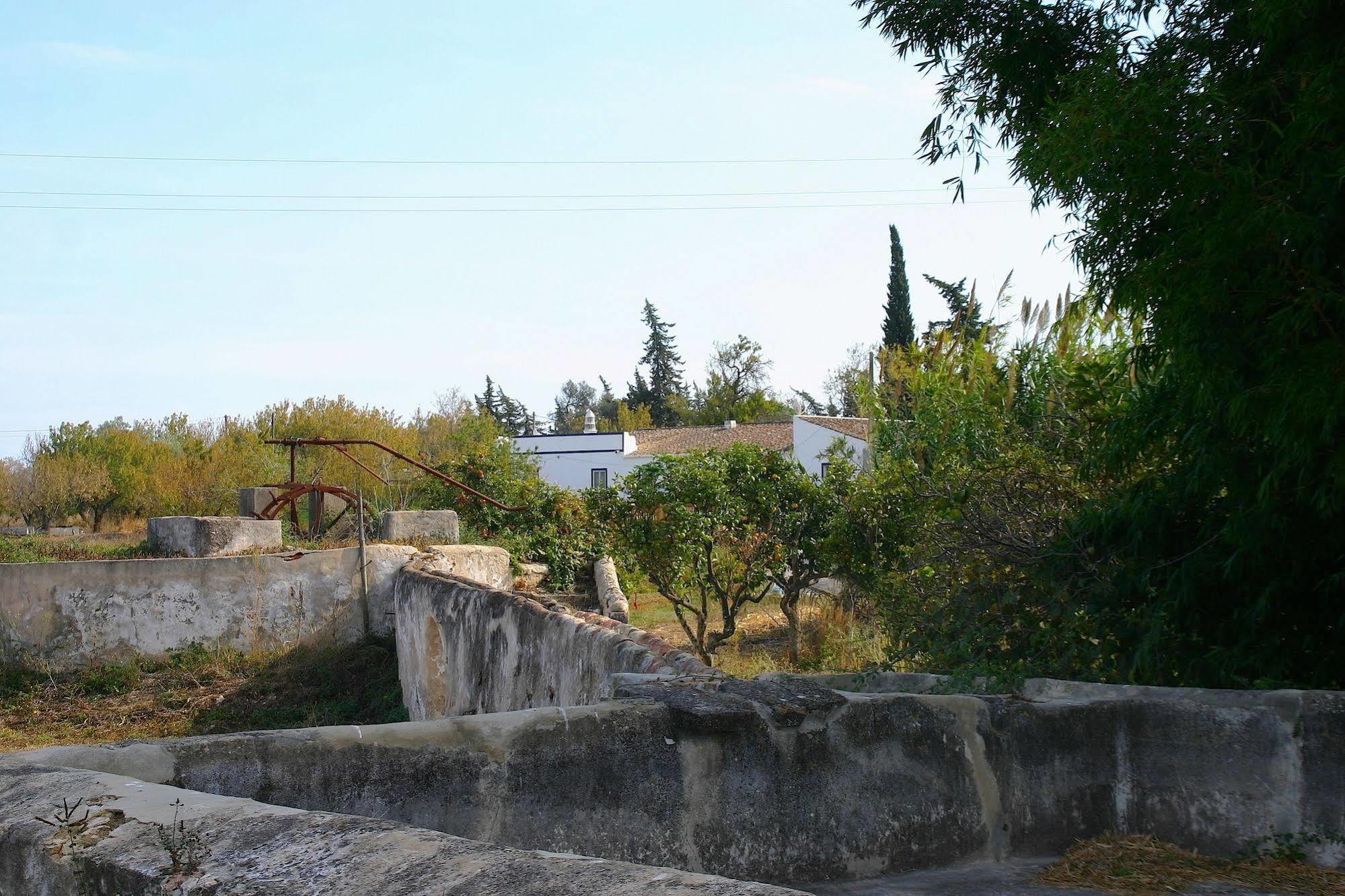 Quintinha Da Foz Guest House Sao Pedro  Zewnętrze zdjęcie